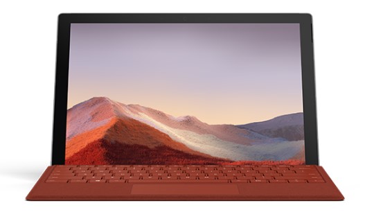 托克逊清洁和维护 Surface